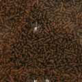 ���祳���ץ졼60g