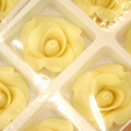 �Х���祳���ۥ磻��6������