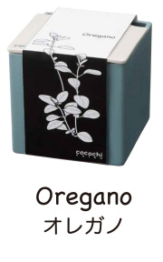 ������̵���ۡڥݥ���ȣ��ܡ� ��̺��ݥ��å� ���κڱࡡ�ʥ��쥬�μ��դ� �֥롼�Ͽ�ȭ����������������, cocochi saien��