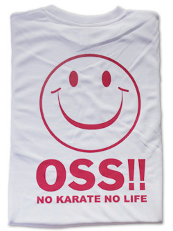 OSSMAILY �ɥ饤��å���T����� �����