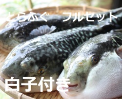 とらふぐフルセット　白子付き　３～４人前　冷蔵