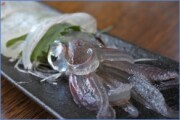 超・瞬間冷凍　活きイカ姿つくり