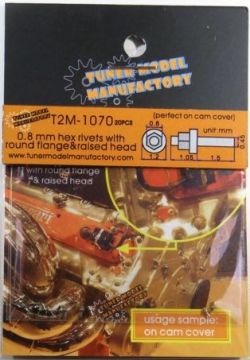 T2M1070.JPG