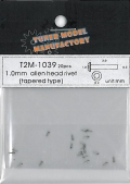 T2M1039.jpg