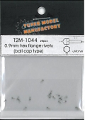 T2M1044.jpg