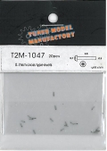 T2M1047.jpg