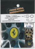 T2M1055.jpg