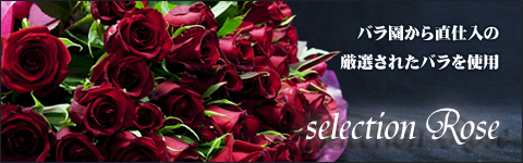 Selection Rose �����ԤΥХ饷�꡼���ʴ���ˤ��β�«��100�ܤ��֤��ΥХ�β�«������ľ����