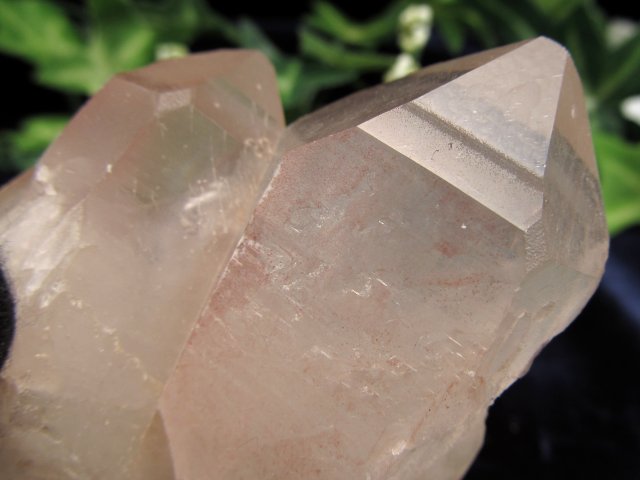 ギャランティーカード付 ピンク レムリアンシードクリスタル 最大幅 約69mm 重量 111g 少量限定入荷 古代の叡智を封じ込めた水晶 別名シンギングクリスタル