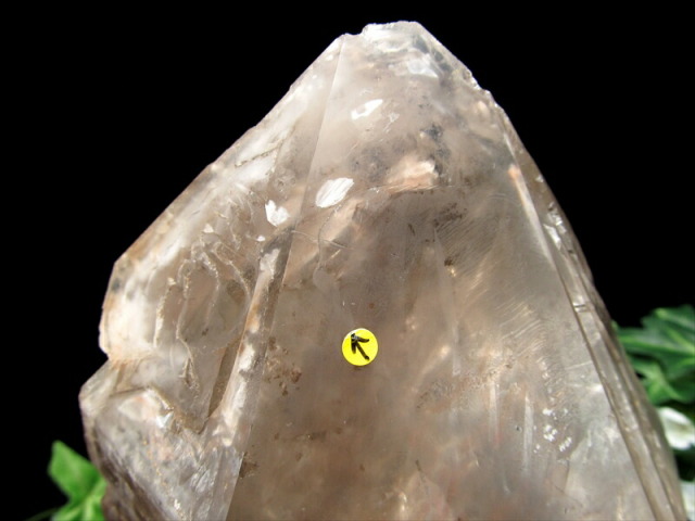 希少な水入り原石 水入り スモーキーエレスチャルクォーツ ワニ水晶 原石 台座付 最大幅161mm 重さ約1585g 強力な癒しの力 天使のギフト 一点物 ジンバブエ産