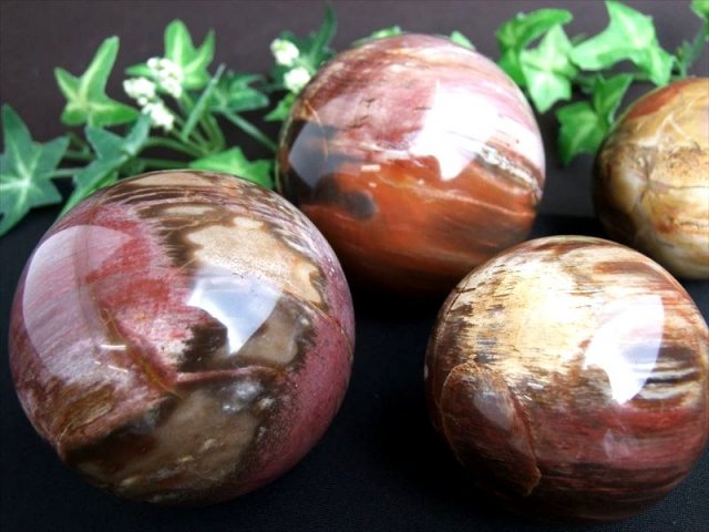 芸術的なマーブル模様 珪化木 丸玉 1個売り 直径約80mm-82mm ペトリファイドウッド 木の化石 博愛・真心・希望 美しい絵画の様な模様 マダガスカル産