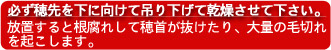 ɬ������򲼤˸����ƴ��礵���Ƥ���������