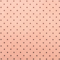 ��̥ץ��� 50x55cm(UMT-126)