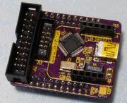 ARM7TDMI/LPC2103�⥸�塼��