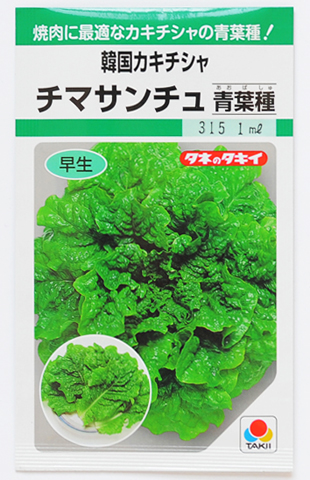 韓国カキシャ　チマサンチュ（青葉）