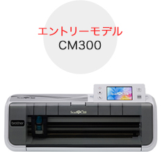 cm300.jpg