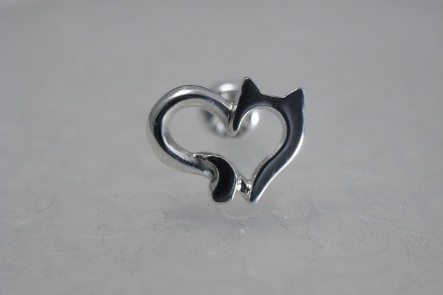 オープンニャートピアス右