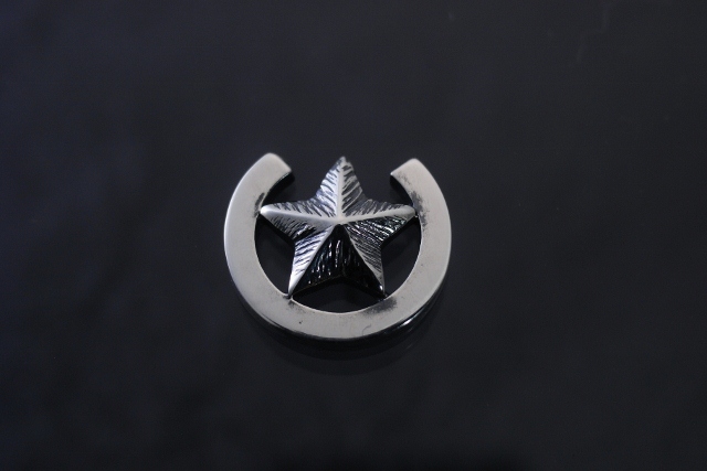 馬蹄の星　ピアス