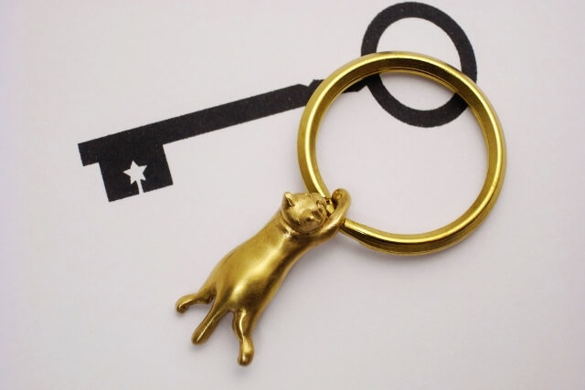 vitaK010 MANDA HEBI no Key Ring／マンダ ヘビのキーリング