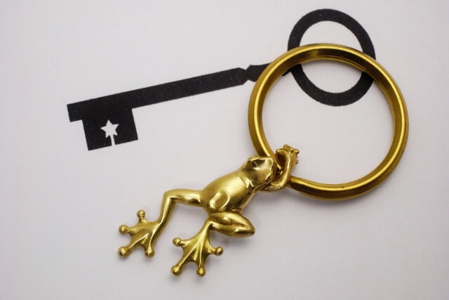 vitaK010 MANDA HEBI no Key Ring／マンダ ヘビのキーリング