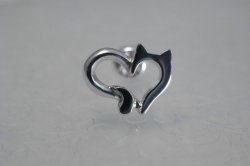 オープンニャートピアス右