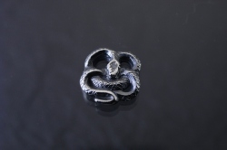 蛇　ピアス