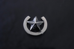 馬蹄の星　ピアス