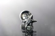 スノーフレーク　ピアス　