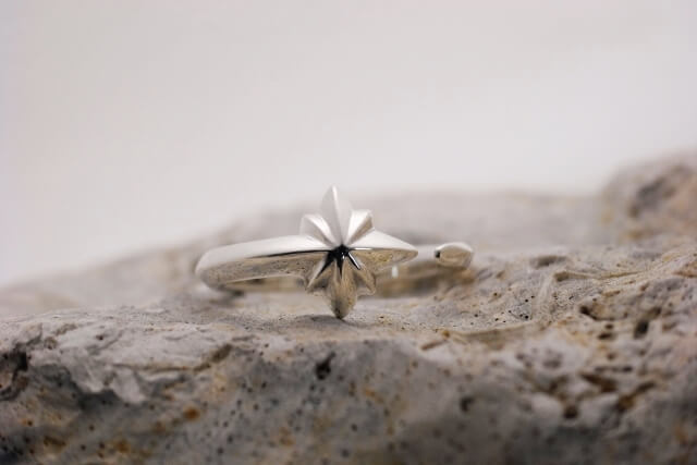 meteor bouds ring　流星の絆リング