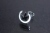 馬蹄の星　ピアス