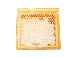 手作り国産巣みつ大門養蜂場
