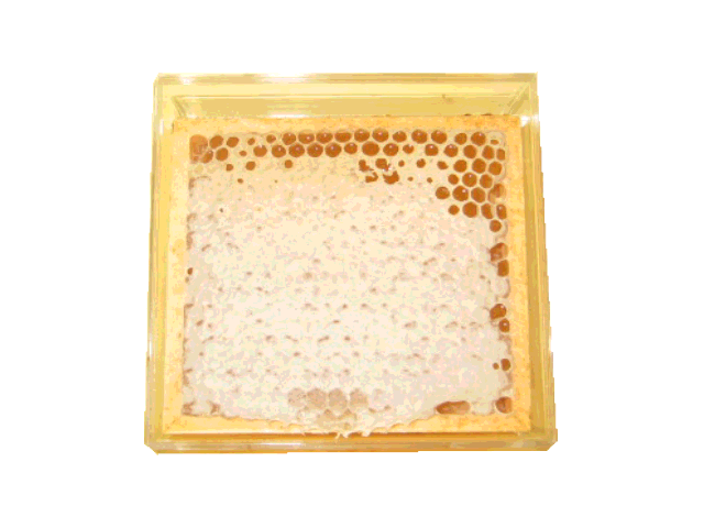 手作り国産巣みつ大門養蜂場