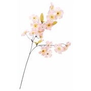 FLS0104