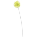 FLS-5080_FRLIME