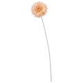 FLS-5080_PC