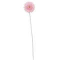 FLS-5080_PK