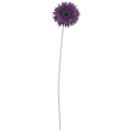 FLS-5080_PRPU
