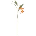 FLS-5254-L