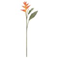 FLS-5254-S