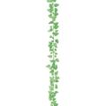 LEG-0122_FRGR