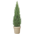 LET-2048_11