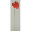 a000