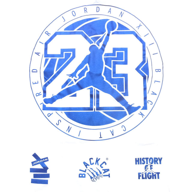 NIKE ナイキ 半袖Tシャツ メンズ JORDAN JSW AJ13 TEE (AJ7375)
