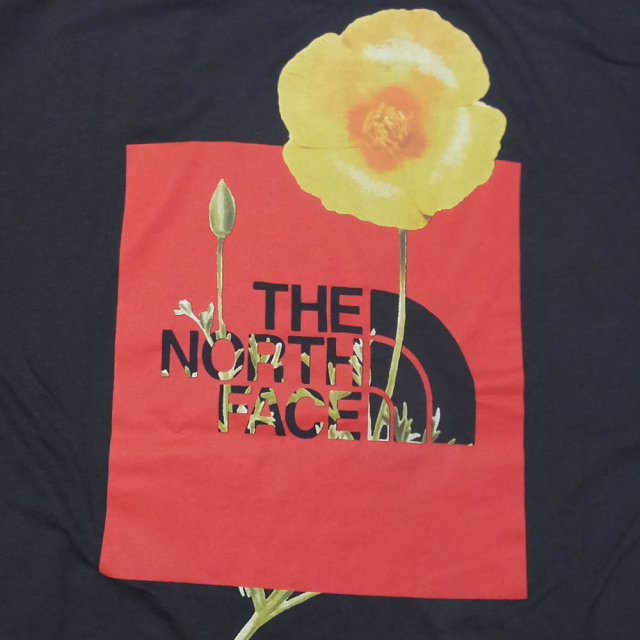 THE NORTH FACE ザ・ノースフェイス 半袖Tシャツ S/S BOTTLE SOURCE RED BOX TEE ウェザードブラック (NF0A34YRZLY)