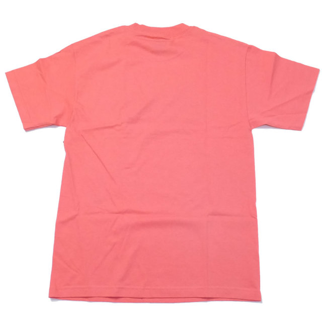 DGK ディージーケー 半袖Tシャツ LOUD TEE (DT-4036)