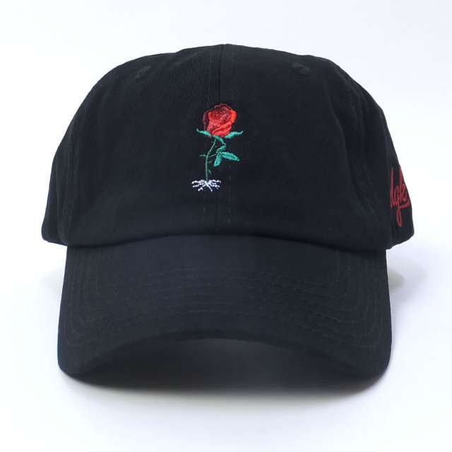 DGK ディージーケー カーブバイザーキャップ GROWTH STRAPBACK CAP (DH-982)