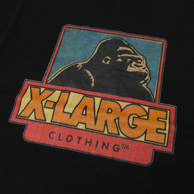 X-LARGE エクストララージ 半袖Tシャツ STRIP OG SS TEE M18C1129