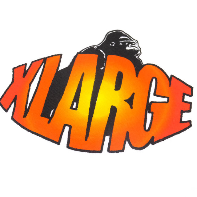 X-LARGE エクストララージ 長袖Tシャツ GAZE LS TEE M18C1405