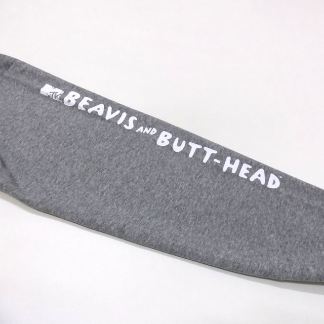 adidas Skateboarding アディダス スケートボーディング スウェットプルオーバーパーカー BEAVIS & BUTTHEAD HOODIE DU2859