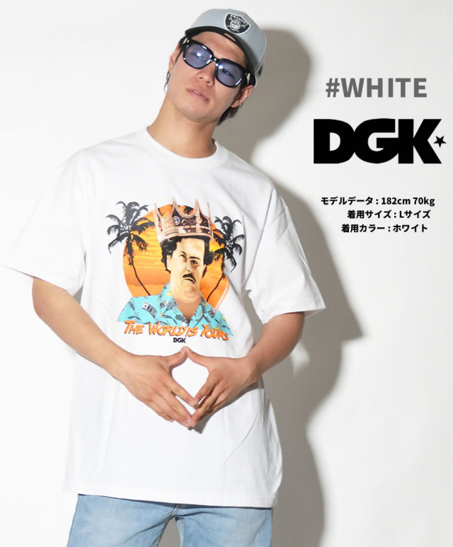 DGK ディージーケー 半袖Tシャツ メンズ 大きいサイズ ストリート系 スケーター ヒップホップ ファッション World is Yours T-Shirt DT-4176 DGTT171
